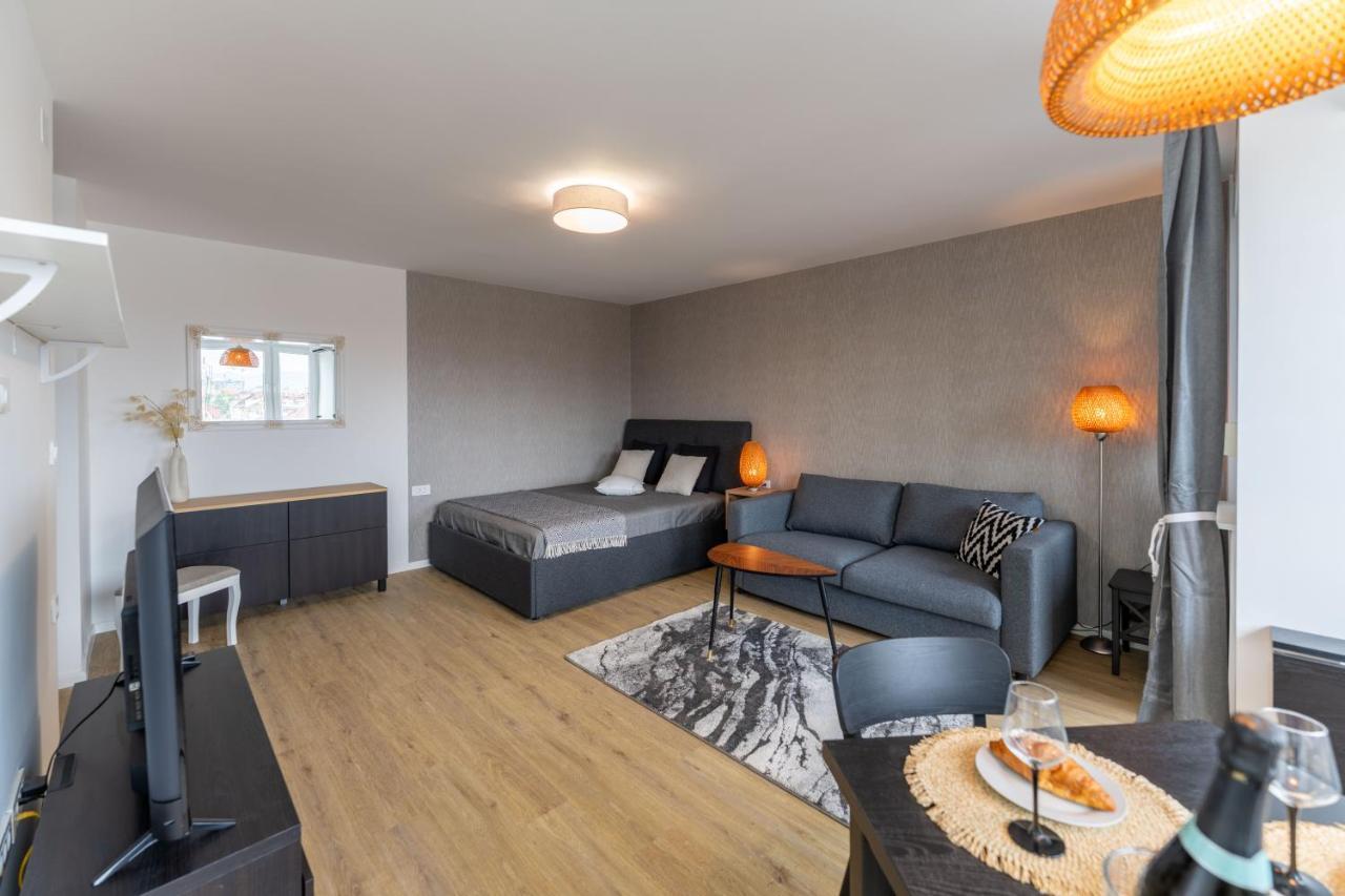 Elegant Tour As Studio Gilly With Open Views And A Balcony In The Center Любляна Екстер'єр фото